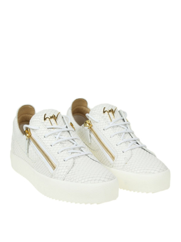 zanotti out saison