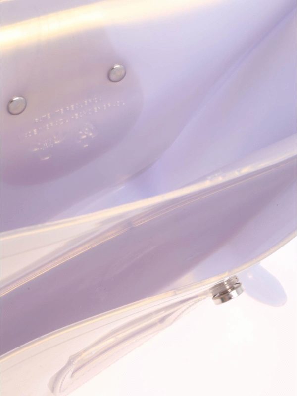 Transparent backpack with front buckles 