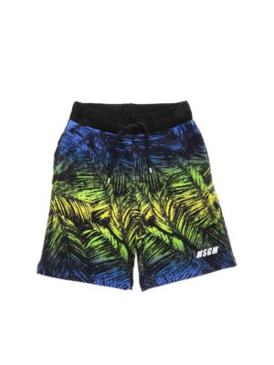 m.s.g.m.: shorts - Leaf print multicolor bermuda