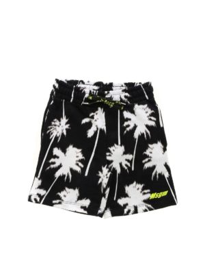 m.s.g.m.: shorts - Palm print bermuda in black