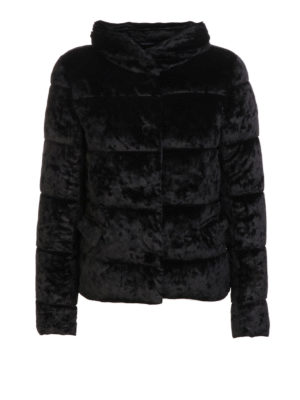 Save The Duck: Kurze Daunenjacken - Daunenjacke - Schwarz