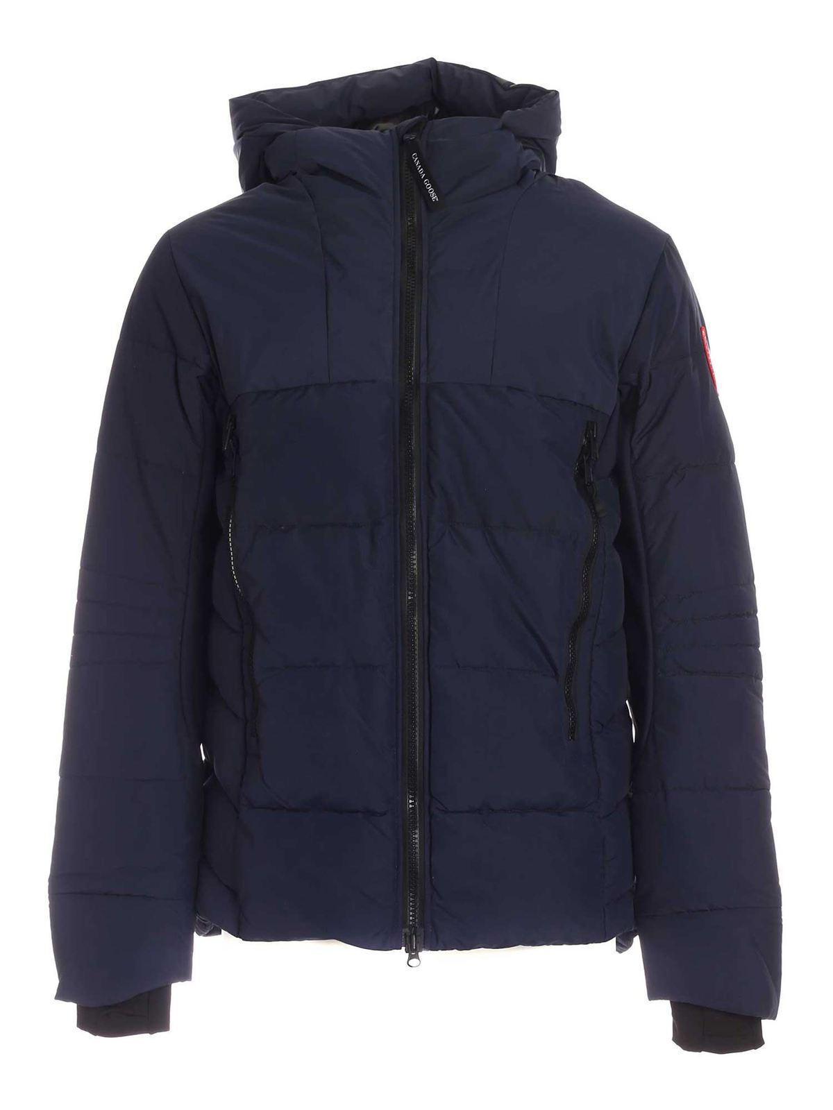 blue canada goose hybridge