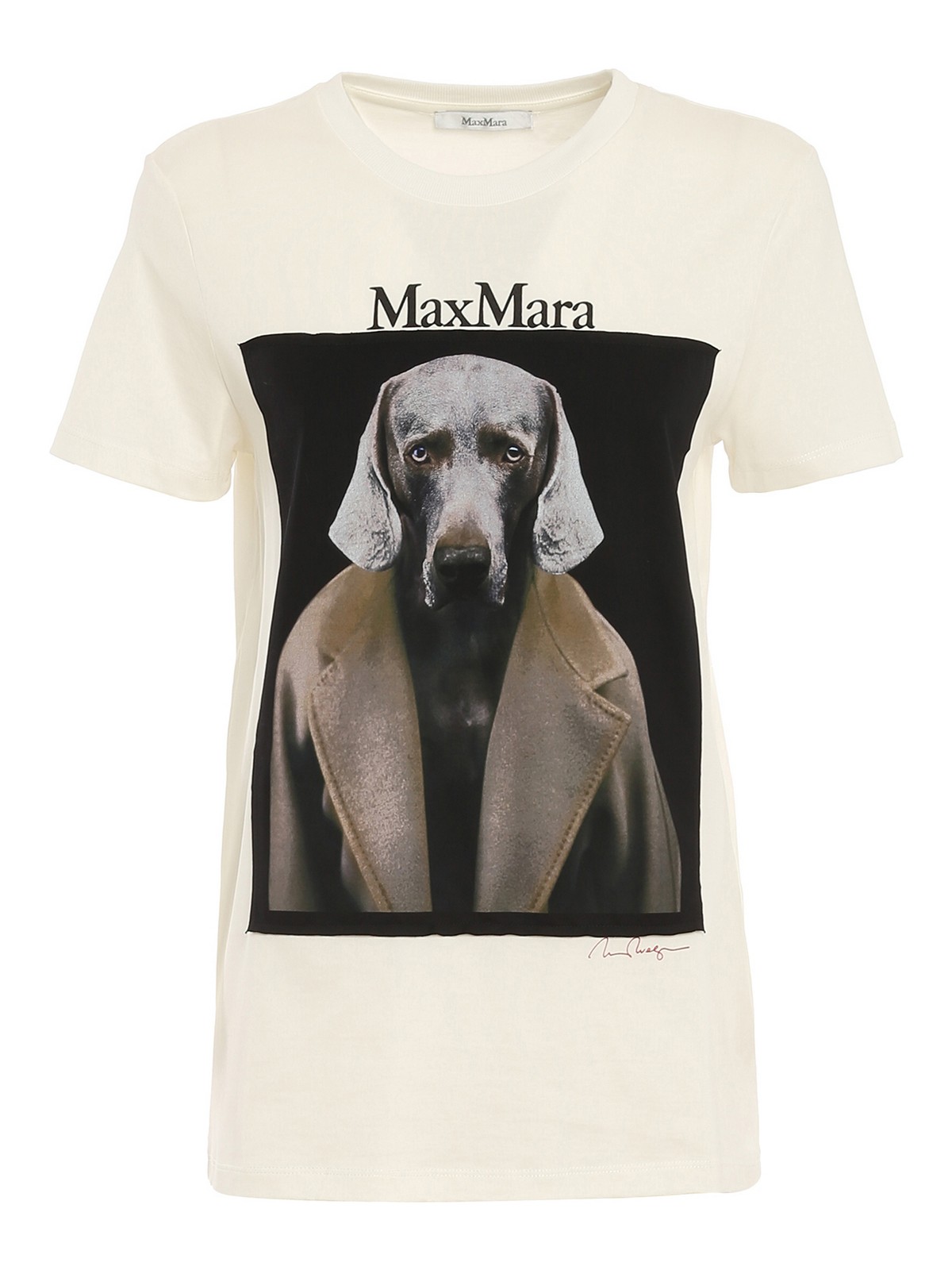 T-shirts Max Mara - Dogstar T-shirt - 194609196005 | Shop online at iKRIX