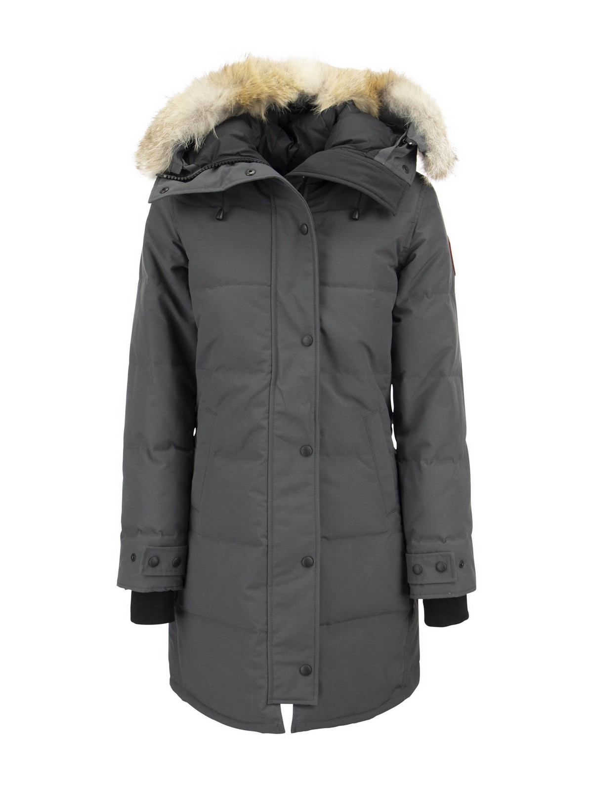 shelburne jacket