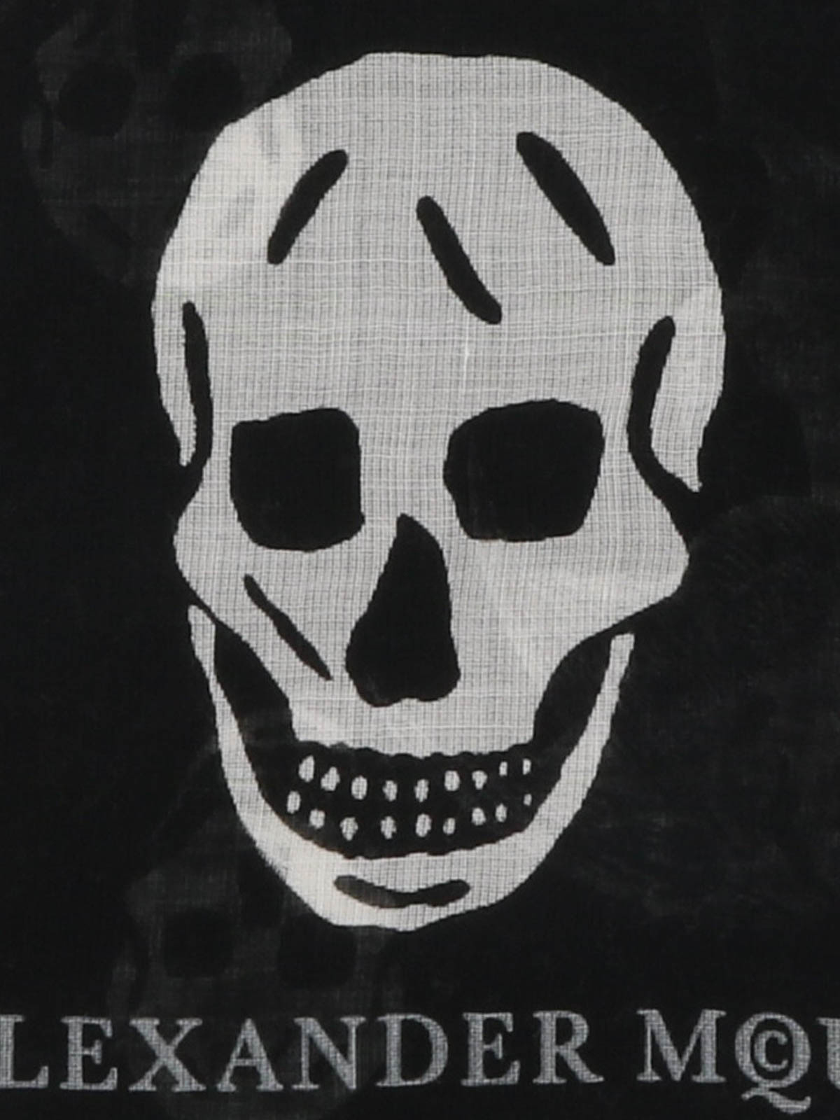 alexander mcqueen logo skull