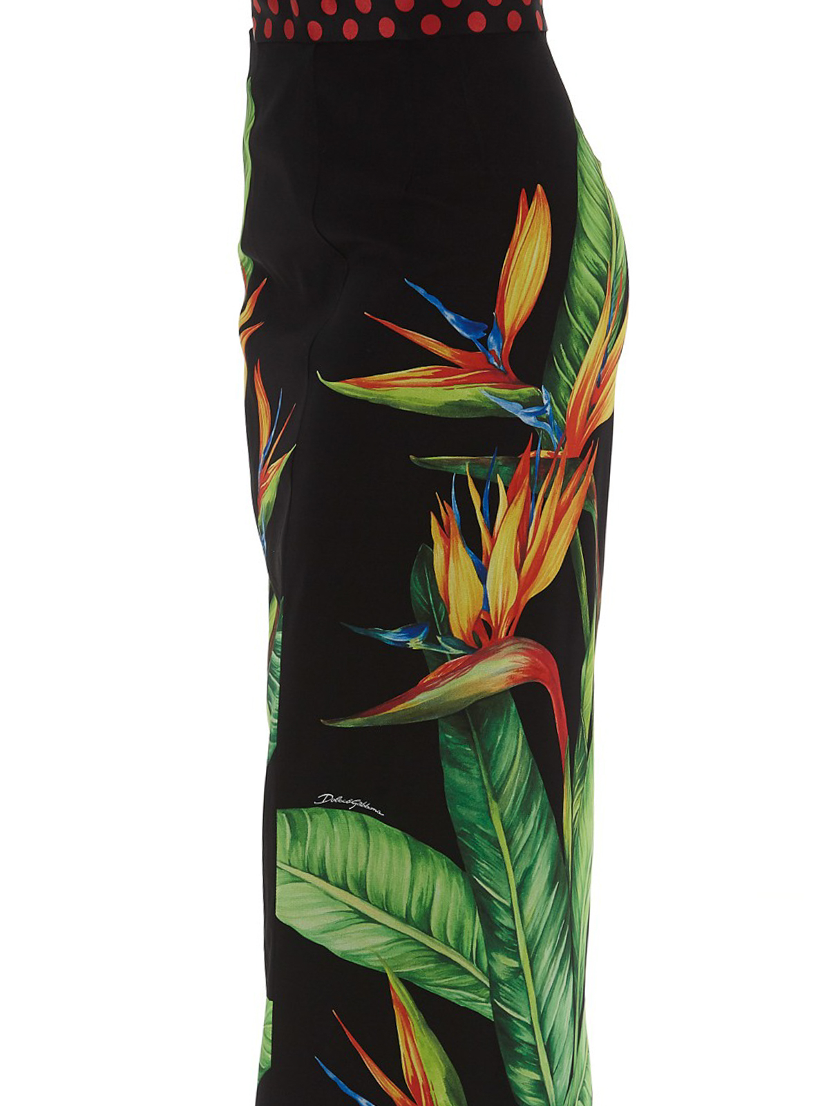 Knee length skirts & Midi Dolce & Gabbana - Silk pencil skirt bird of  paradise - F4BWLTFPAMOHNHH8