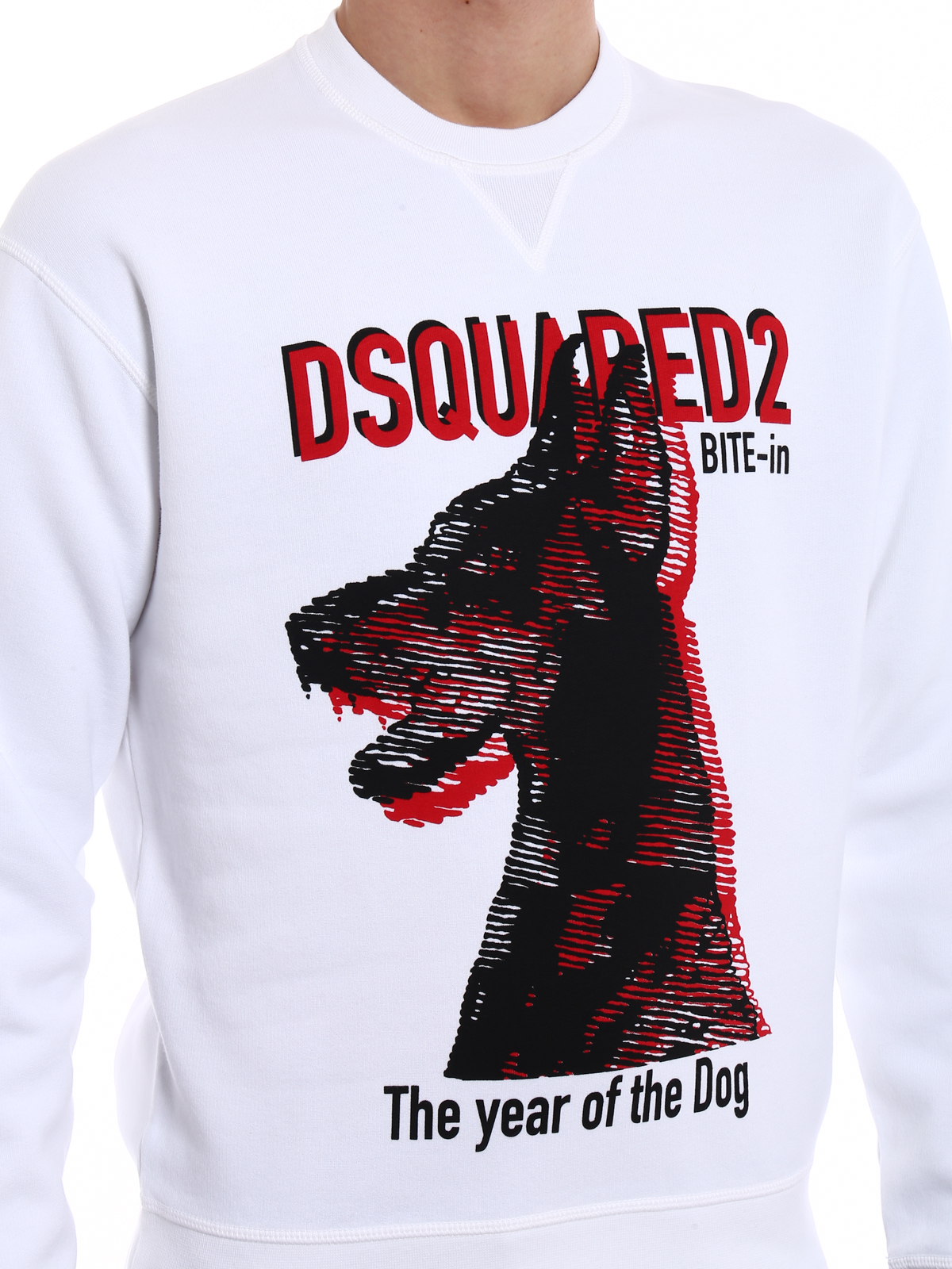 Dog sweatshirt 