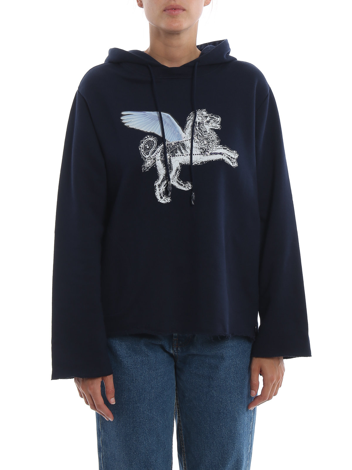 golden goose hoodie