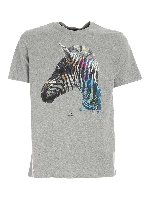 T-shirt Graffit Zebra grigia