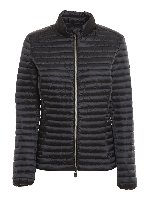 Andreina-100 Animal Free - Negro