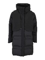 Myshelter - Pharrel Williams