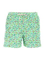 Boxer mare Rooster verdi