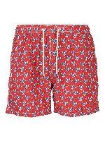 Costume French Bulldog