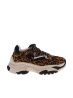 Sneakers Addict Ter nere e animelier