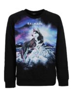 Felpa in cotone stampa husky