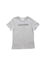 T-shirt Institutional grigia