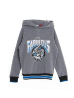 Felpa con cappuccio Fabulous DG grigia