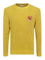 Maglione con logo Pegaso