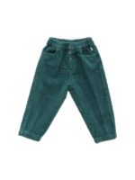 Pantalone in corduroy verde