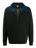 Felpa Pictorial Wings