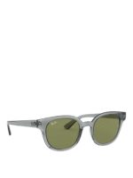 Occhiali da sole RB4324 lenti verde chiaro
