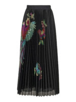 Gonna Bird of Paradise in the Forest